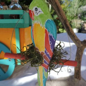 mariage les îles détail décor de buffet