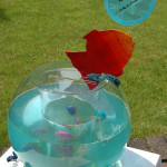 tirelire mariage fonds marins iles paradisiaques