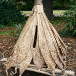 mariage Sénégal et Nord, tirelire