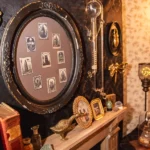 cabinet de curiosités