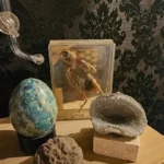 cabinet de curiosités