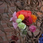 fleurs d