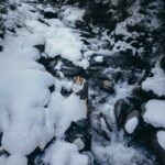 mariage à la neige, photo de couple dans une rivière enneigée