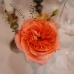 Fleur orangée mariage Gipsy